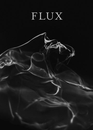 Flux poster