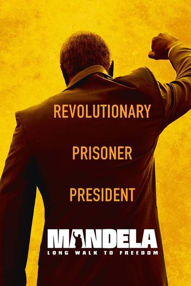 Mandela: Long Walk to Freedom poster