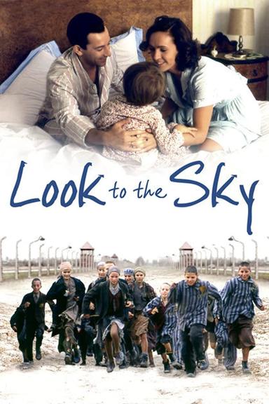 Look to the Sky poster