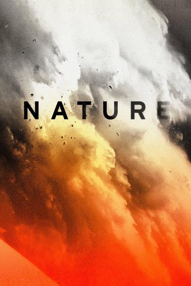 Nature poster