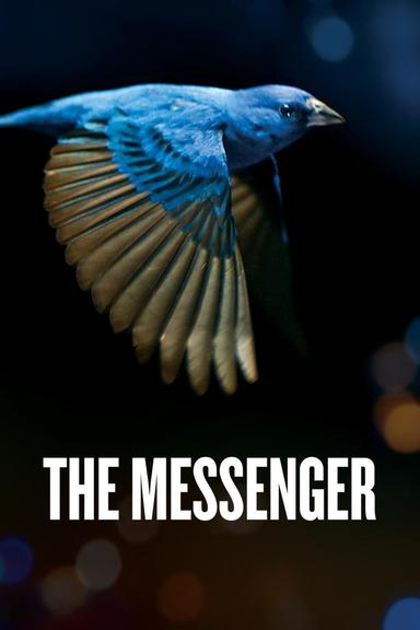 The Messenger poster