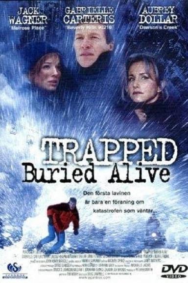 Trapped: Buried Alive poster