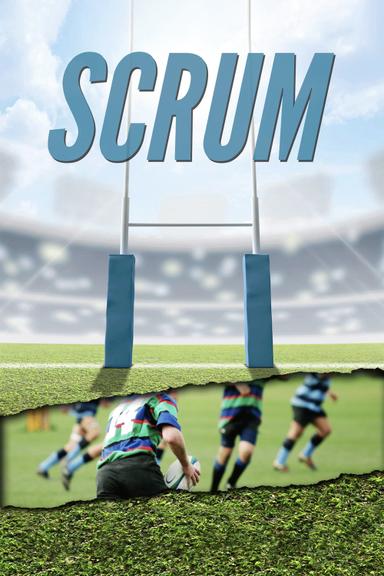 Scrum poster