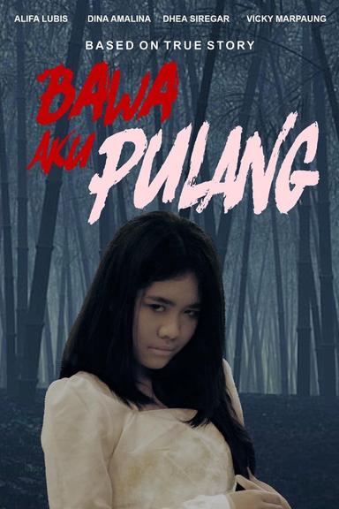 Bawa Aku Pulang poster