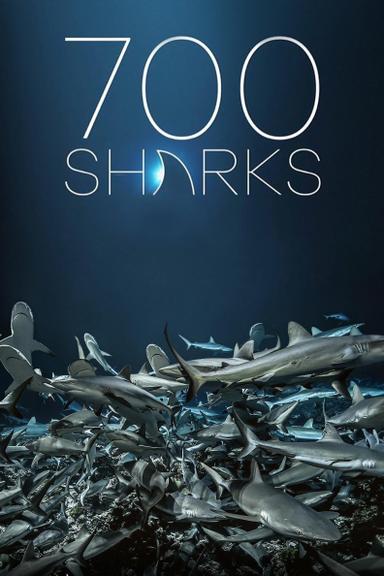 700 Sharks poster