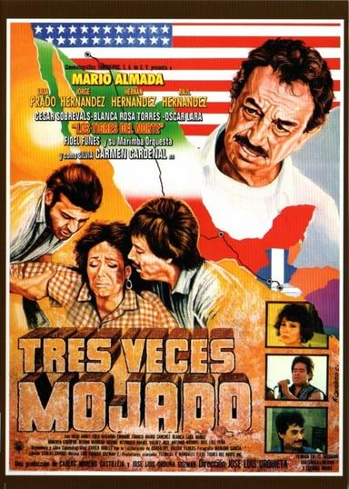 Tres veces mojado poster