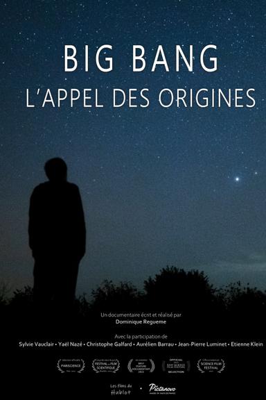 Big bang, l'appel des origines poster