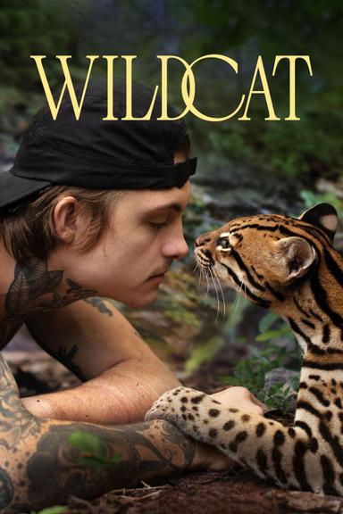 Wildcat poster