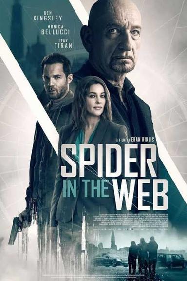 Spider in the Web poster