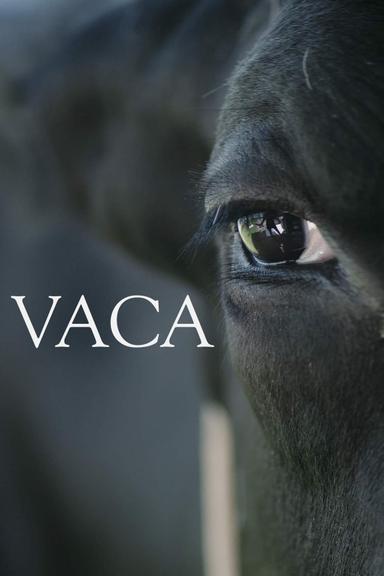 Vaca poster