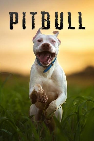 Pitbull poster