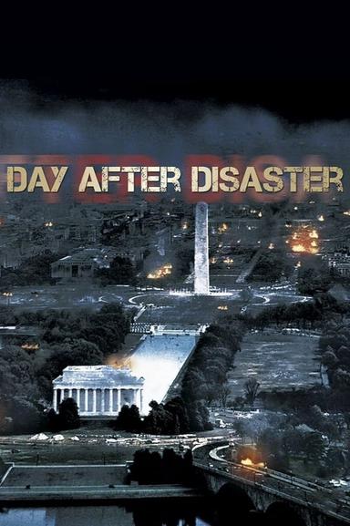 Day After Disaster poster