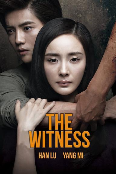 The Witness poster