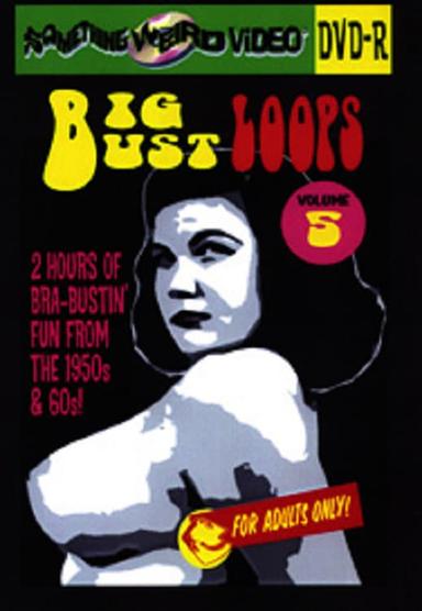 Big Bust Loops Volume 5 poster