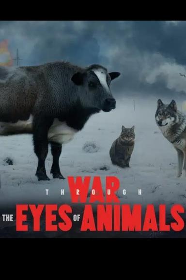 War Through the Eyes of Animals poster