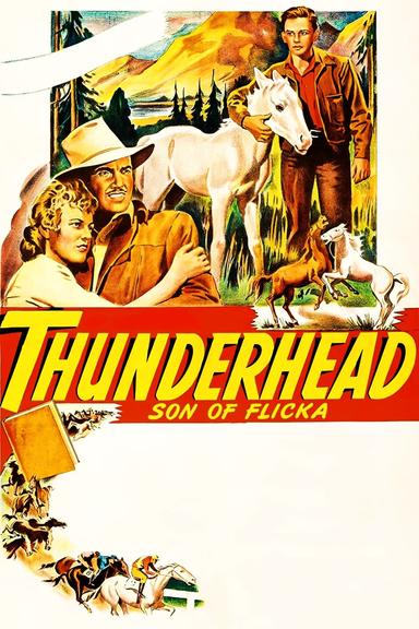 Thunderhead: Son of Flicka poster