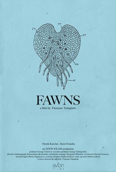 Fawns poster