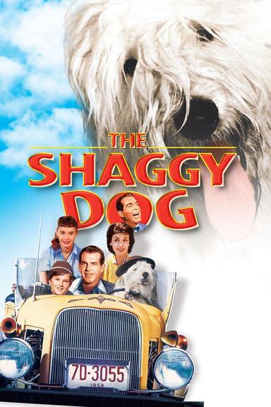 The Shaggy Dog poster