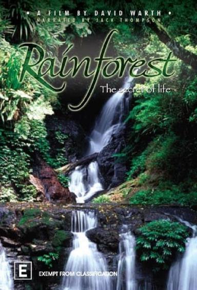 Rainforest: The Secret Of Life poster