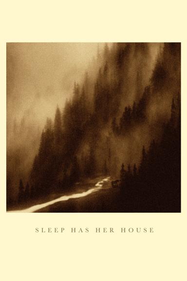 Sleep Has Her House poster