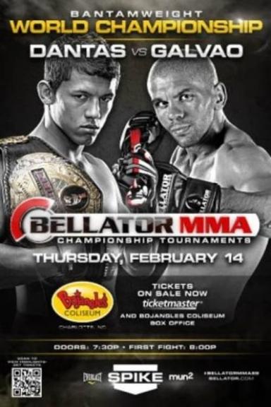 Bellator 89 poster