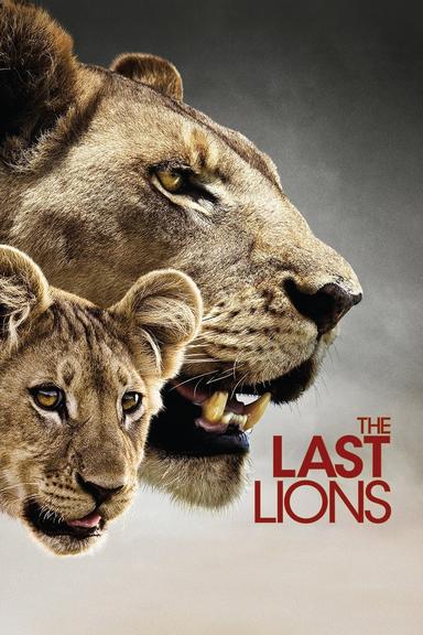 The Last Lions poster