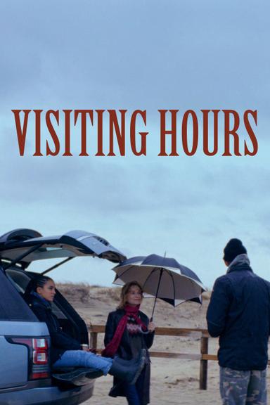 Visiting Hours poster