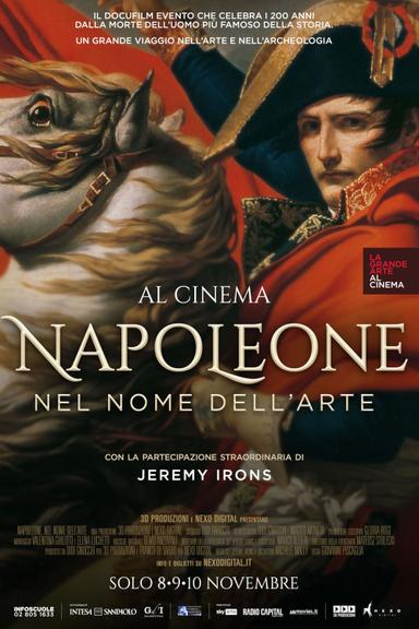 Napoleon: In the Name of Art poster