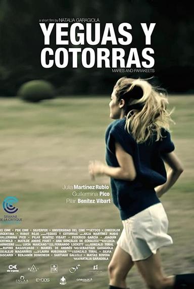 Yeguas y cotorras poster