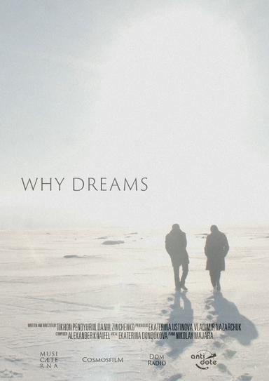 Why Dreams poster