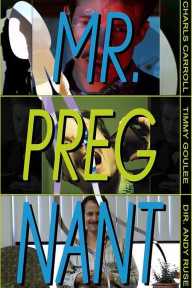 Mr. Pregnant poster