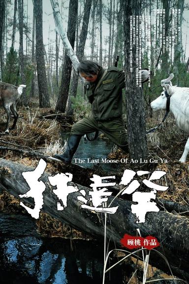 The Last Moose Of Ao Lu Gu Ya poster