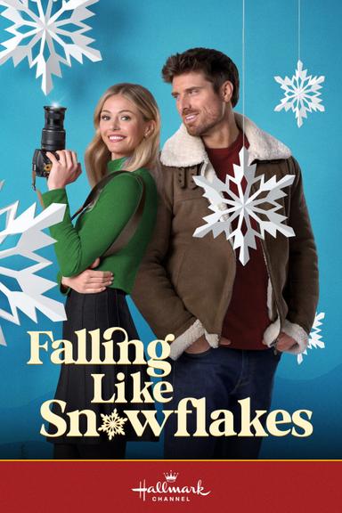 Falling Like Snowflakes poster