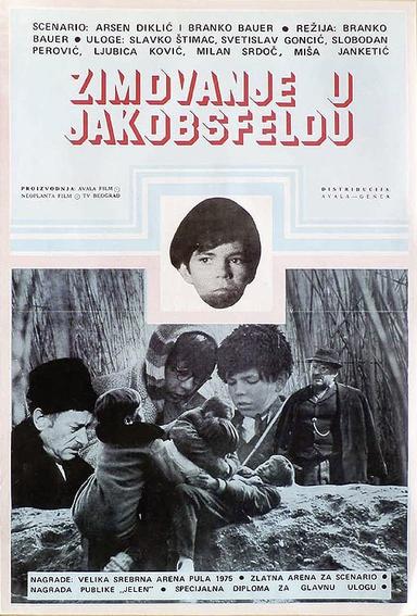 Wintering in Jakobsfeld poster