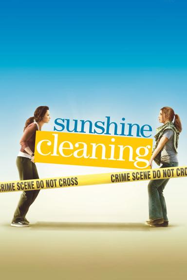 Sunshine Cleaning poster