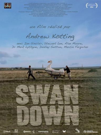 Swandown poster