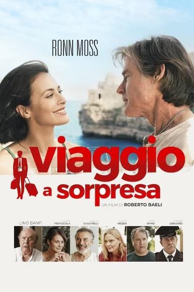 Viaggio a sorpresa poster