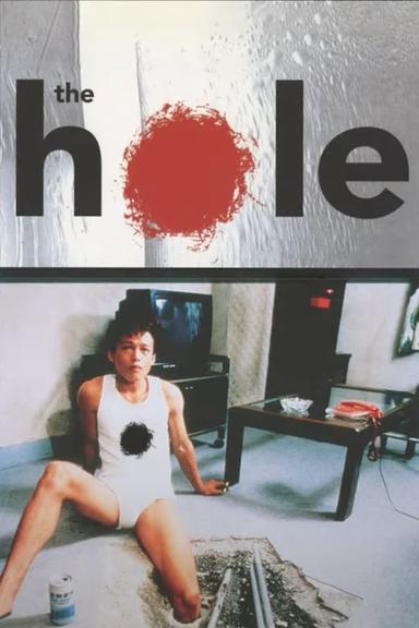 The Hole poster