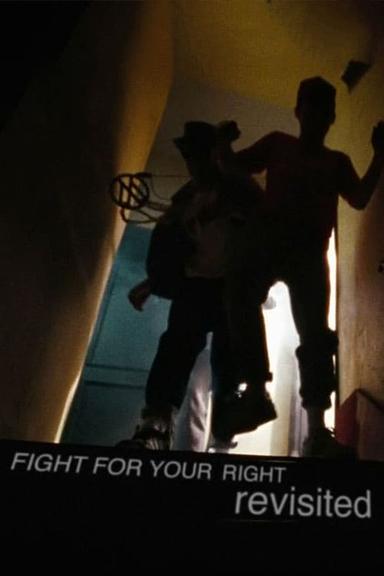 Fight for Your Right Revisited poster