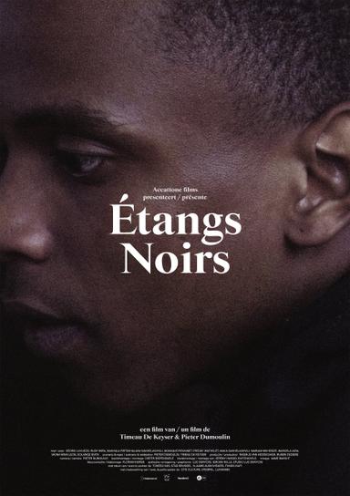 Étangs Noirs poster