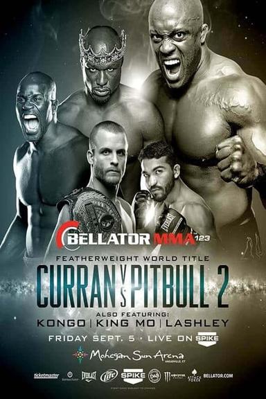 Bellator 123 poster