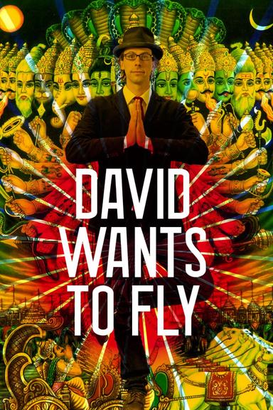 David Wants to Fly poster