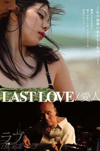 Last Love poster