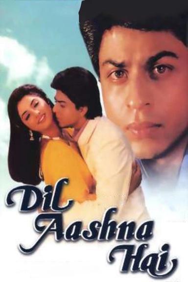 Dil Aashna Hai poster