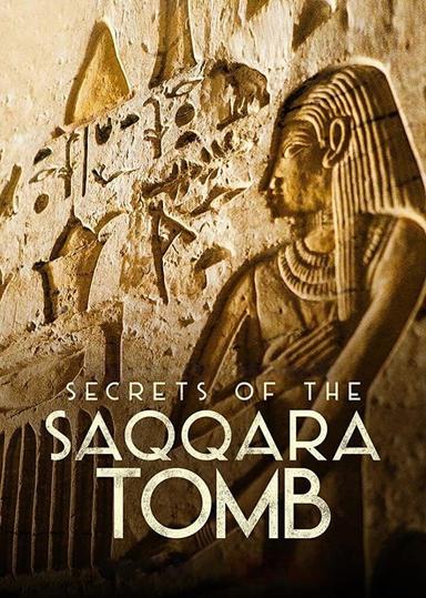 Secrets of the Saqqara Tomb poster