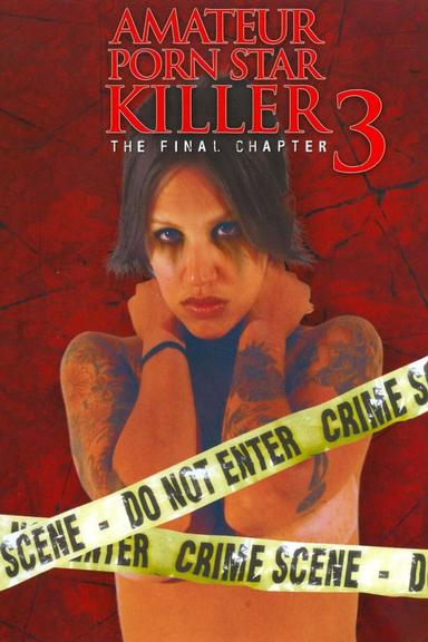 Amateur Porn Star Killer 3: The Final Chapter poster