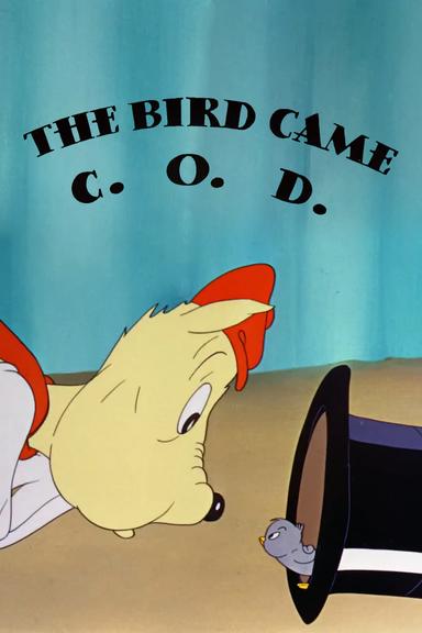 The Bird Came C.O.D. poster