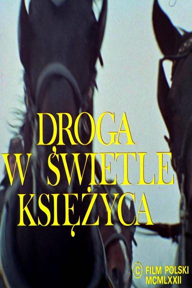 Droga w świetle księżyca poster